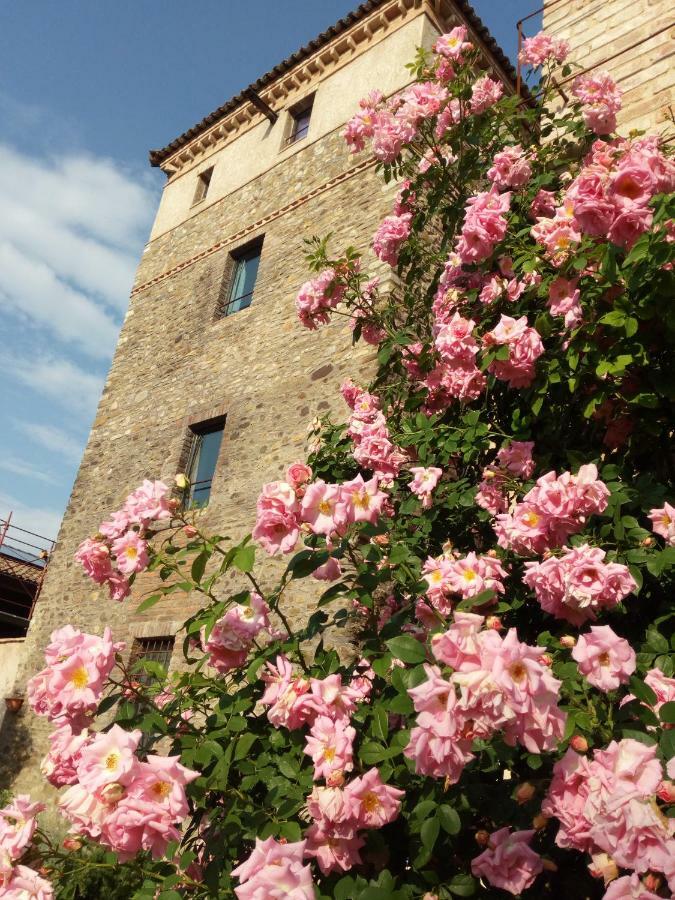 Agriturismo Ca' Preda Villa San Giorgio Piacentino Kültér fotó