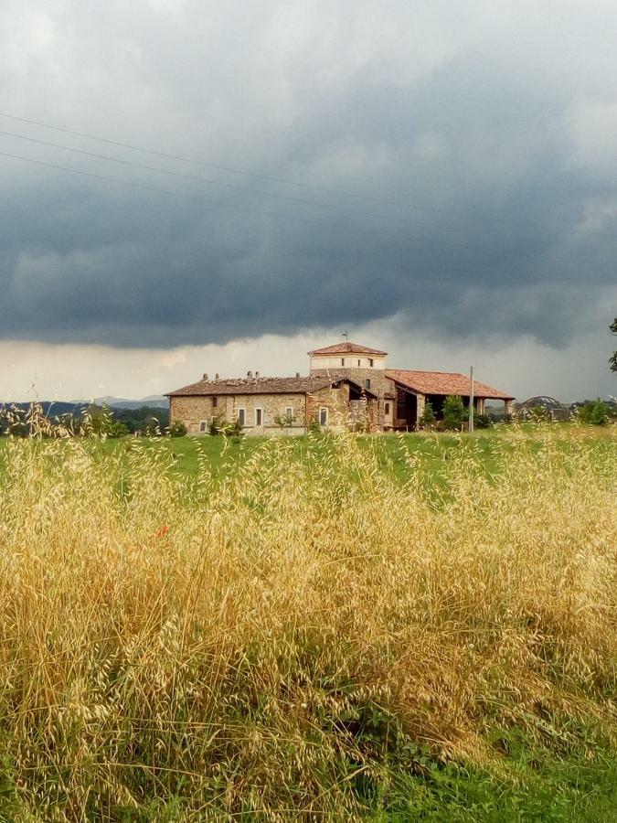 Agriturismo Ca' Preda Villa San Giorgio Piacentino Kültér fotó